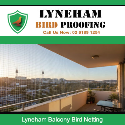 Professional balcony bird netting fitted to residential property in Lyneham suburb