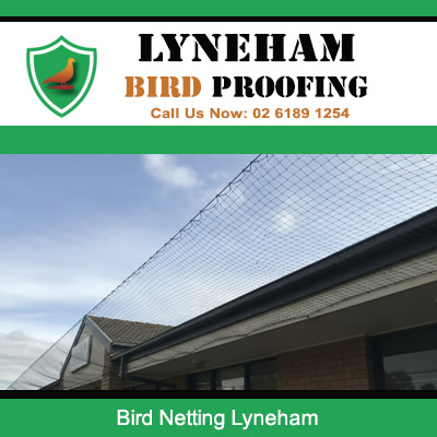 Bird netting installed on residential roof eaves to prevent nesting in Lyneham property