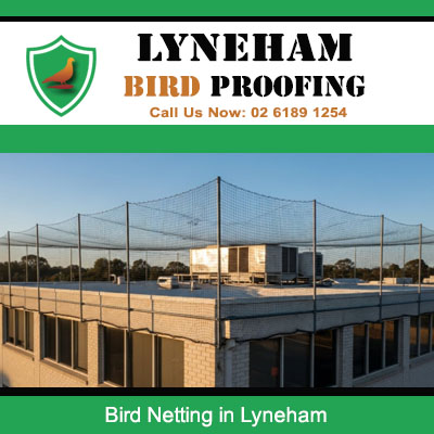 Bird netting installed on commercial building rooftop to prevent bird access in Lyneham
