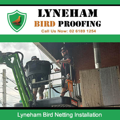 Professional technician installing bird netting on commercial building in Lyneham area