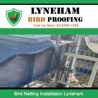 Expert installer working on bird control netting system for industrial property in Lyneham