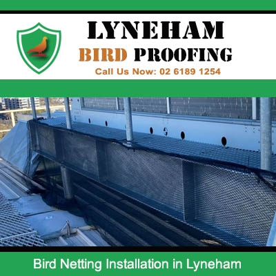 Bird netting installed on industrial warehouse walls to prevent bird access in Lyneham