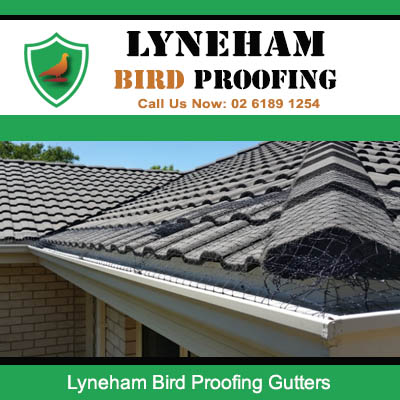 Bird proofing gutters with mesh guard installed on tiled roof in Lyneham residential property