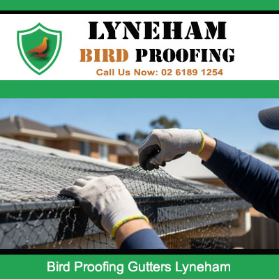 Professional installing bird proofing gutters system on residential roofline Lyneham area
