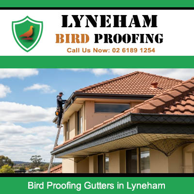 Bird proofing gutters installation by technician on two storey home in Lyneham area