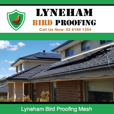 Bird proofing mesh installed on residential gutters and roofline in Lyneham property