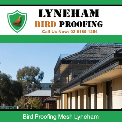 Professional bird proofing mesh fitted to home roofline and gutters Lyneham area