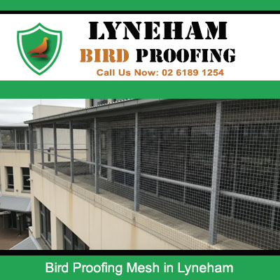Bird proofing mesh protecting commercial facility from bird infestation in Lyneham suburb