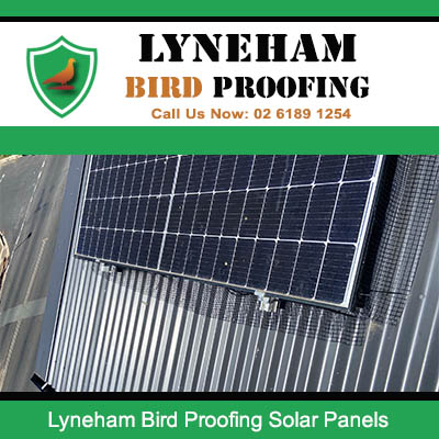 Professional bird proofing solution fitted to solar panels in Lyneham suburb