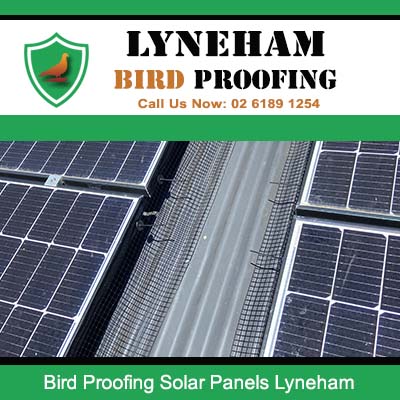 Bird proofing mesh installed between solar panels to prevent nesting in Lyneham