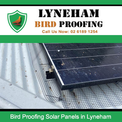 Bird proofing mesh clips securing solar panel edges on corrugated roof in Lyneham