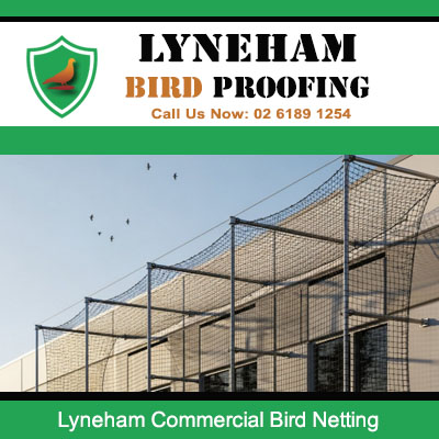 Commercial bird netting installed on warehouse building to prevent bird entry in Lyneham