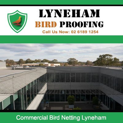 Large scale bird control netting protecting commercial facility from infestation in Lyneham suburb