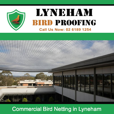 Commercial bird netting installed over outdoor area to prevent bird droppings in Lyneham