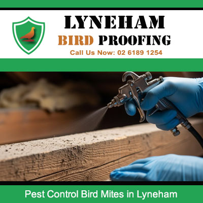 Pest control technician spraying treatment for bird mites on timber in Lyneham property